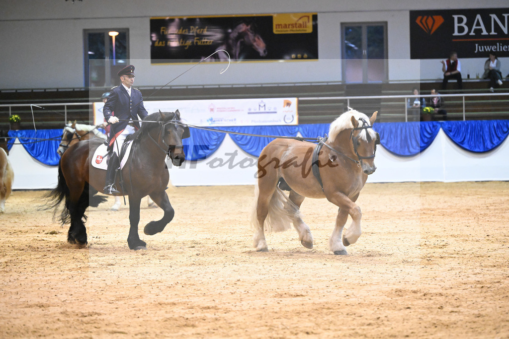 Schauprogramm_54222464 | hf-fotografie - Realisiert mit Pictrs.com