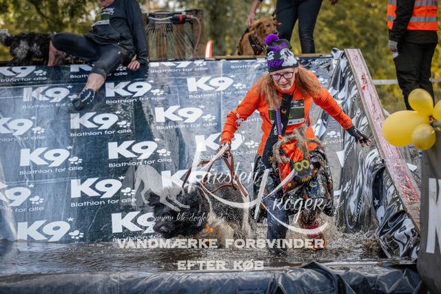 1533_ZZ94877 | kk-dogfotos