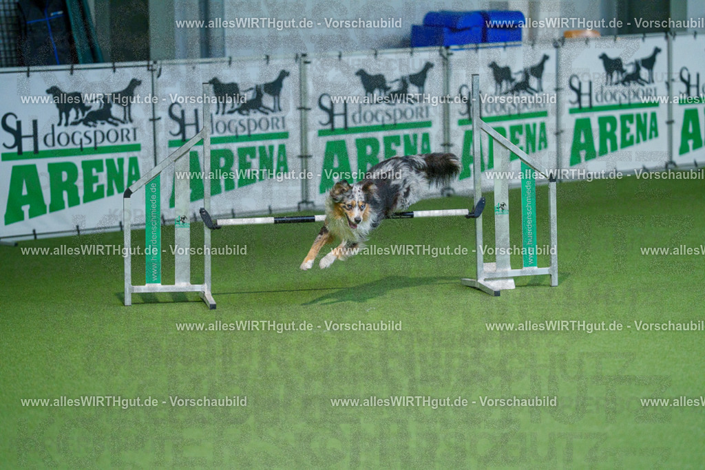 @allesWIRTHgut_Tierfotografie - www.allesWIRTHgut.de - 2604250958-7R509362 | Professionelle Tierfotografie in Mönchengladbach von Daniel Wirth (allesWIRTHgut). Liebevolle & natürliche Bilder von Hunden & Katzen für unvergessliche Erinnerungen.
