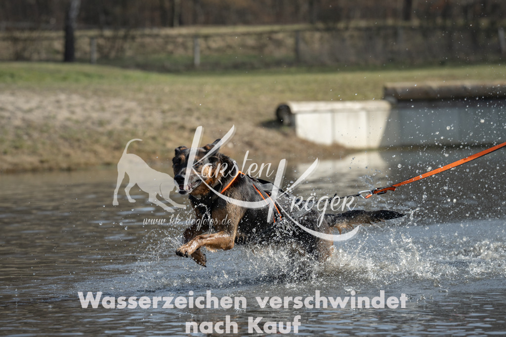 1149_ZZ96730-3 | kk-dogfotos