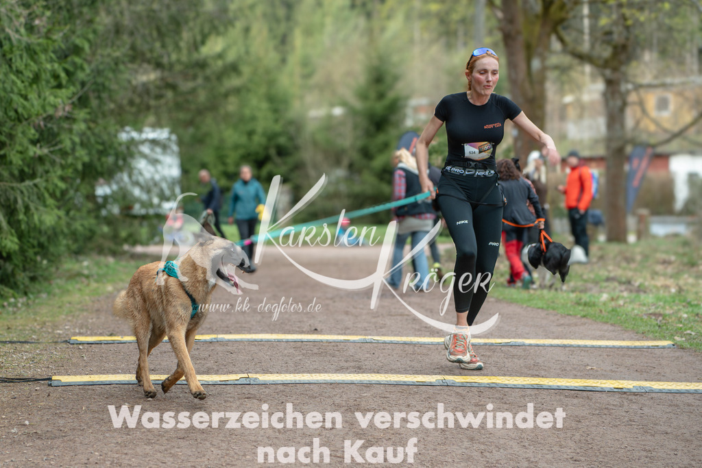 0857DZ6_1199 | kk-dogfotos