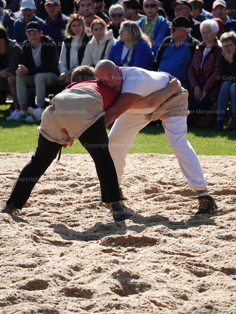DSC05568 | Schwingen - Realisiert mit Pictrs.com