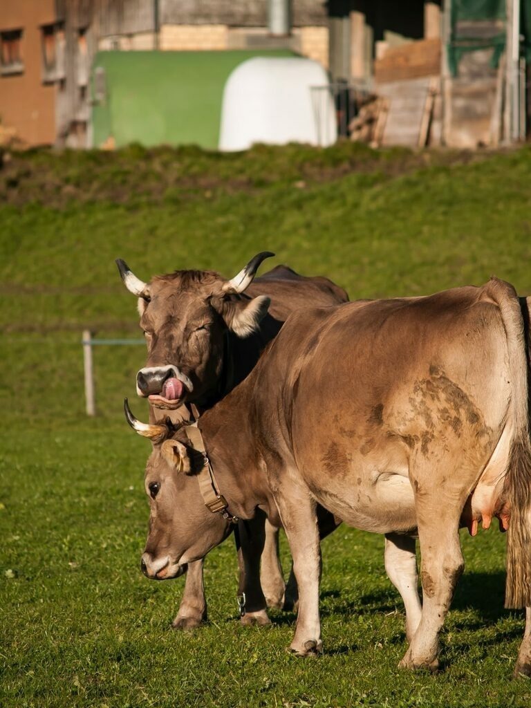 PSX_20221110_223203 | mtkfoto_ - Realisiert mit Pictrs.com