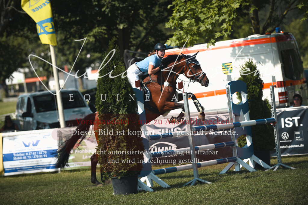 DSC_7143 | Pferde- und Turnierfotografie in Westsachsen. Pferdeportraits, Auftragszeichnungen und intuitive Kunst.