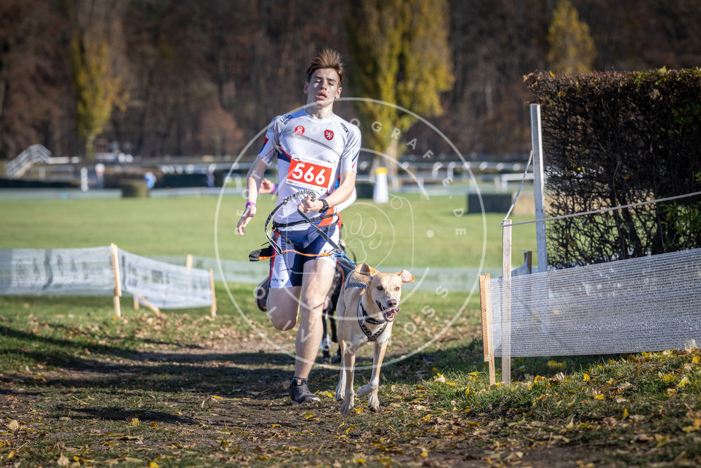 CaniXpix_DV3A8795 | Hundefotografie, Tierfotograf, Pfotenfotografie, Fotoshooting Hund, Hunde Portrait, Hundesport, Hundeportraits, Heideshooting, Hunde, Sportfotograf, Hundefotograf, Turnierhundsport, THS,  - Realisiert mit Pictrs.com