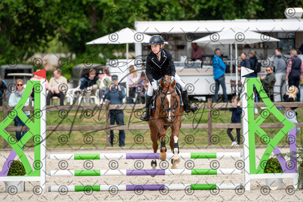 KPT_5953 | andre_photographic