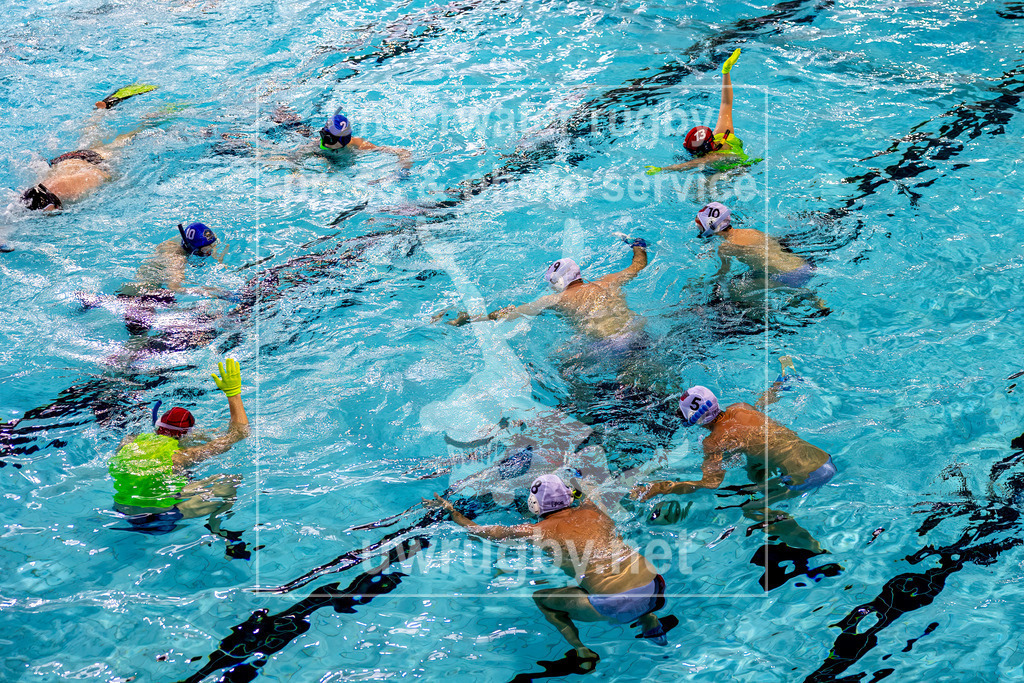 Unterwasser-Hockey: Rückrunde Liga 2023/2024 - Bild 30 | Schiedsrichter zeigen im FInale durch ihre Hände dem Spielleiter am Beckenrand Regelverstöße oder Tore an. Der Spielleiter kann mit einer Hupanlage das Spiel unterbrechen. - Realisiert mit Pictrs.com