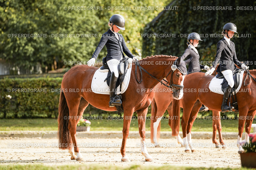 DSC06025 | Pferdegrafie