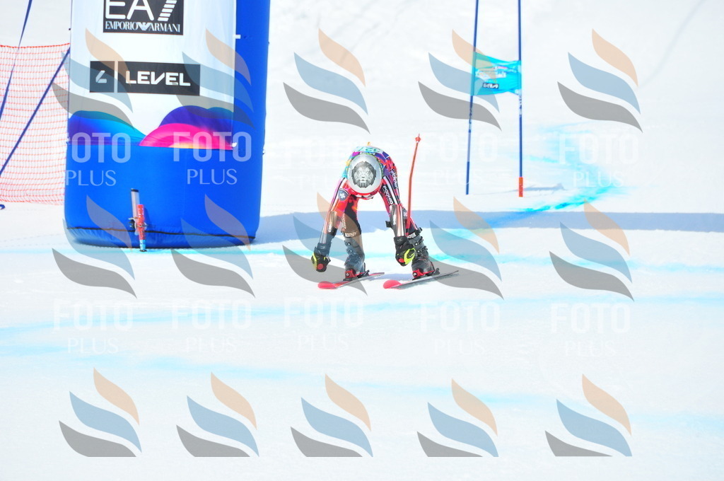 DSC_2999 | holidayphoto