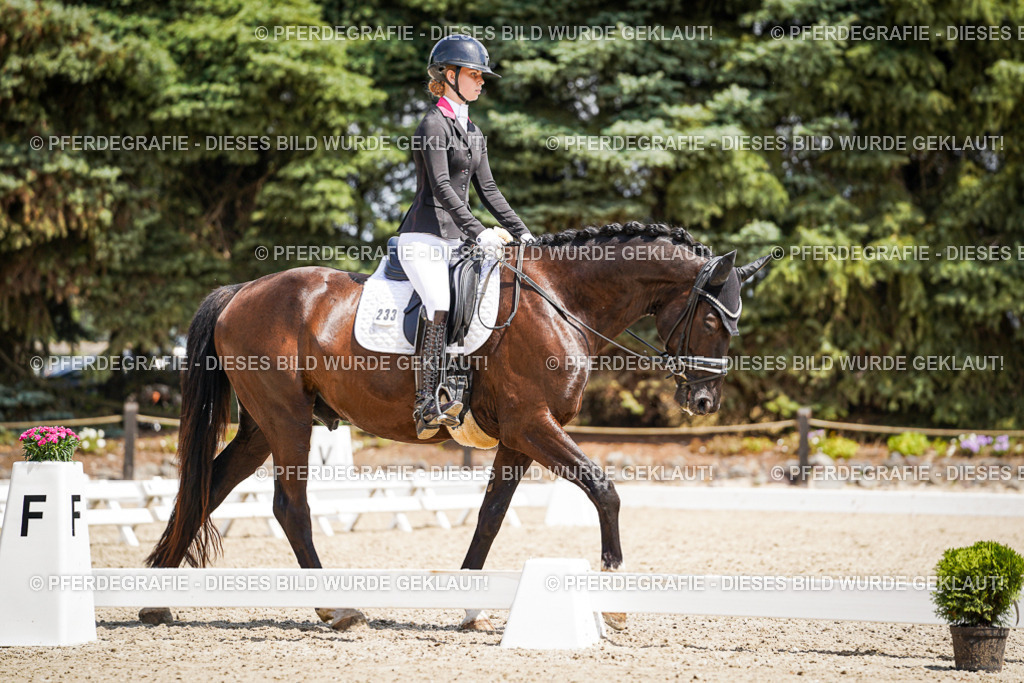 DSC01621 | Pferdegrafie