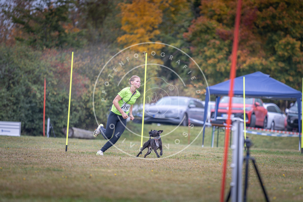 Pfotenfotografie_DV3A0862 | Hundefotografie, Tierfotograf, Pfotenfotografie, Fotoshooting Hund, Hunde Portrait, Hundesport, Hundeportraits, Heideshooting, Hunde, Sportfotograf, Hundefotograf, Turnierhundsport, THS,  - Realisiert mit Pictrs.com