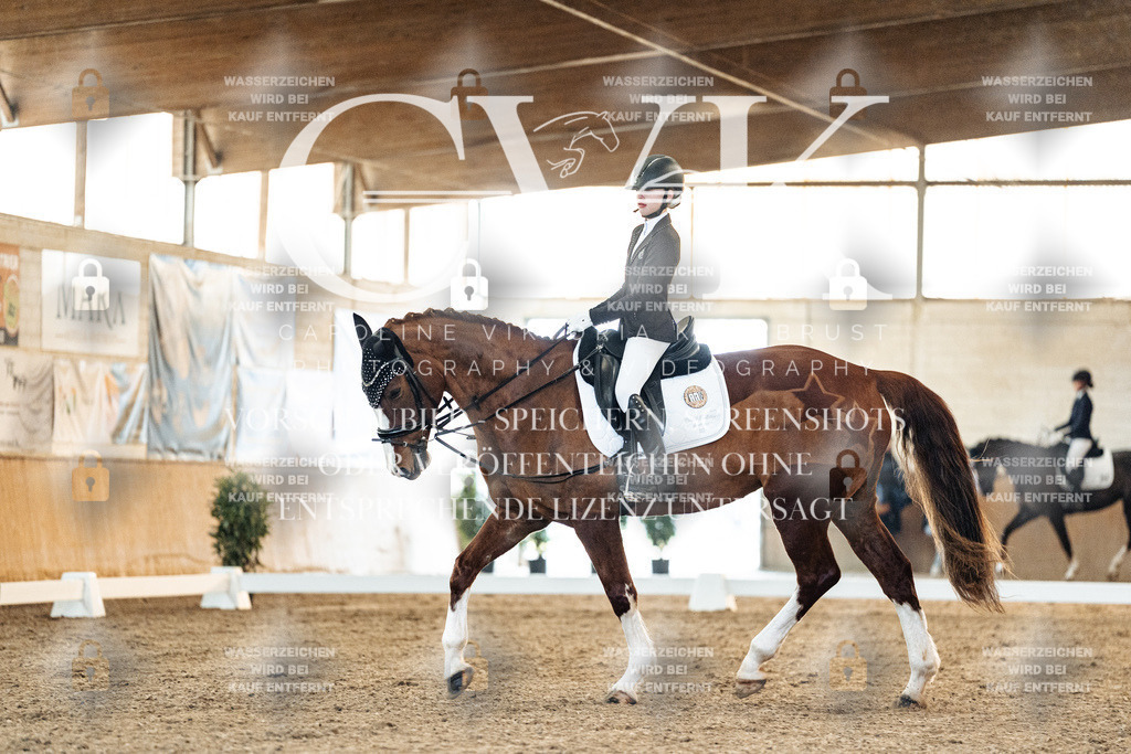 CK906766 | Turnierfotografie Pferdefotografie Trier Rheinland-Pfalz Pferdesport Reitsport Tierfotografie Sportfotografie Pferdevideo Pferdevideografie Equestrianvideography equestrianphotography  - Realisiert mit Pictrs.com
