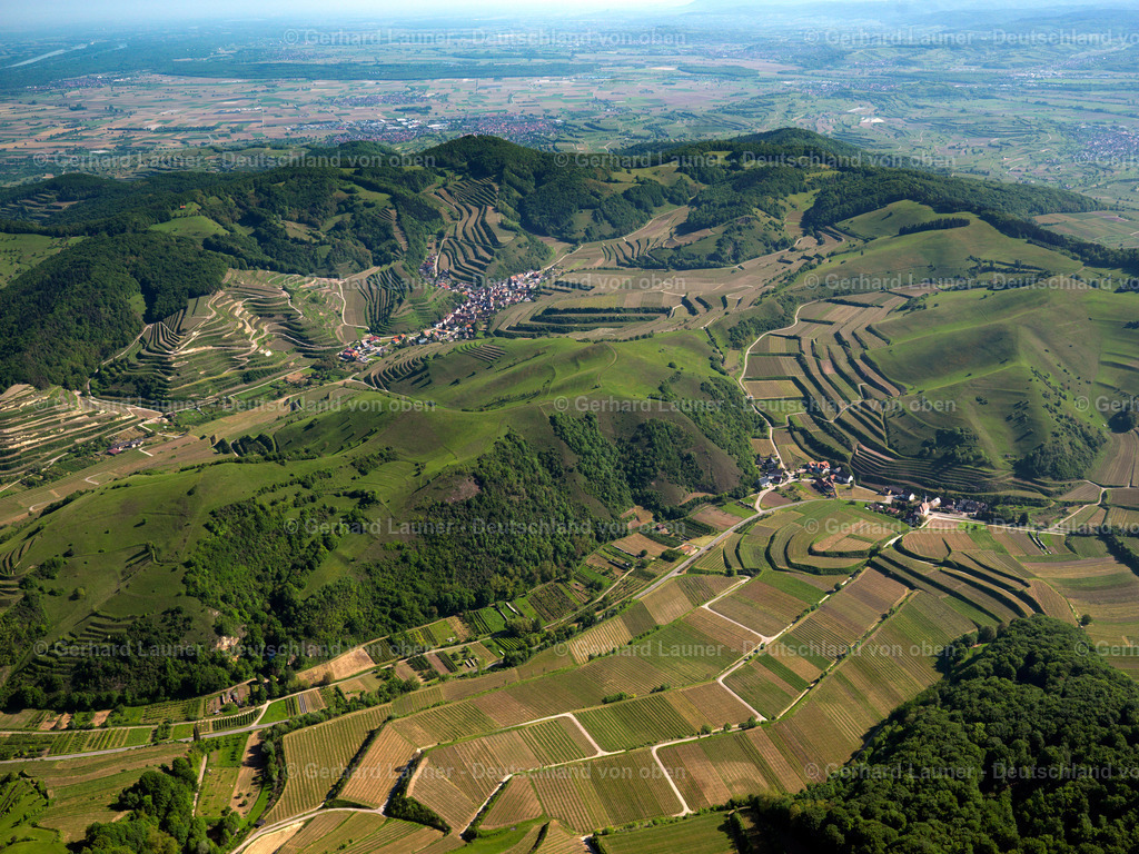 3096257 | Altvogtsburg, Badberg, Kaiserstuhl