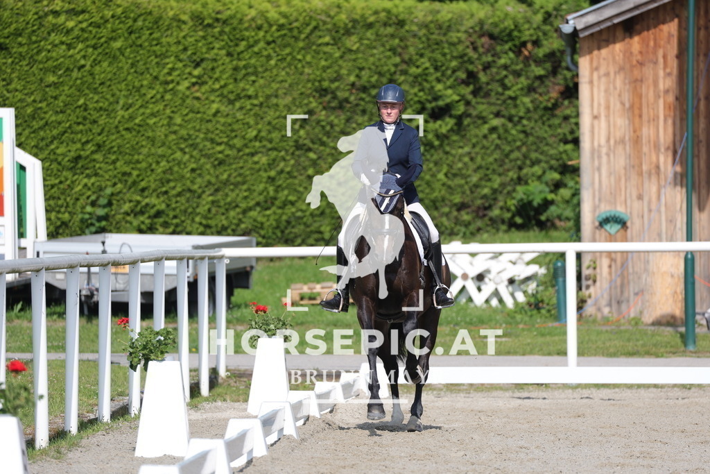 0P6A4545 | Willkommen bei Brunnmayr - Design & Fotografie – Ihrem Spezialisten für Reitturniere und Pferdeveranstaltungen in Oberösterreich, Salzburg und Bayern! Seit über 17 Jahren sind wir leidenschaftlich dabei.