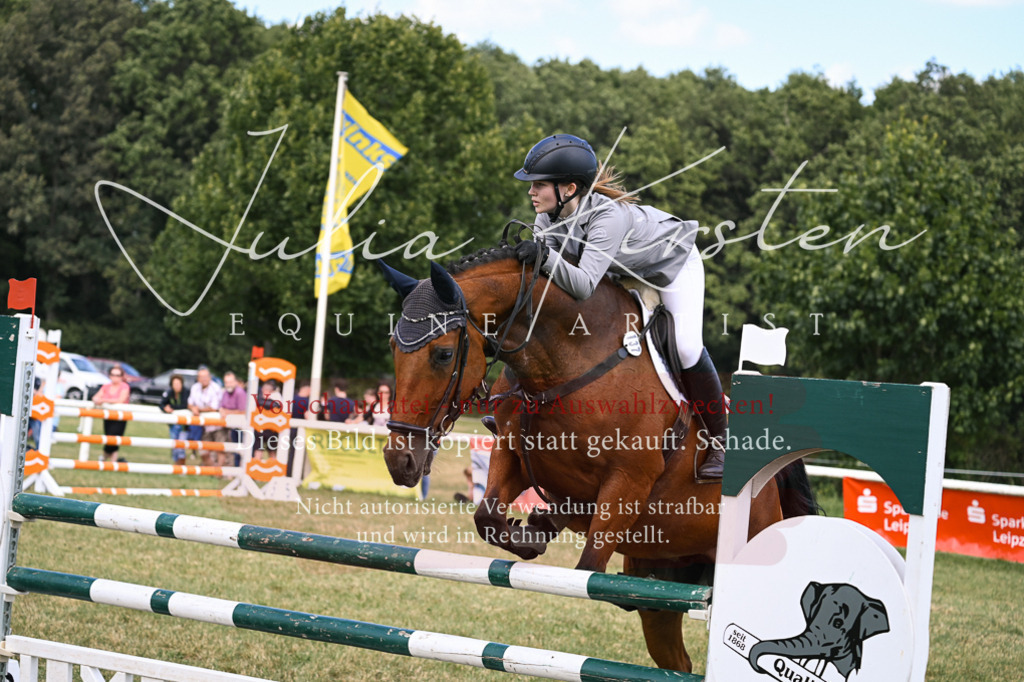 DSC_0587 | Pferde- und Turnierfotografie in Westsachsen. Pferdeportraits, Auftragszeichnungen und intuitive Kunst.