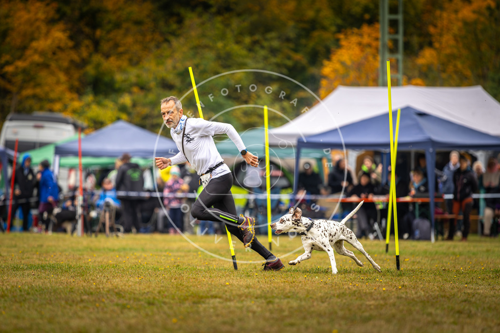 Pfotenfotografie_DV3A2233 | Hundefotografie, Tierfotograf, Pfotenfotografie, Fotoshooting Hund, Hunde Portrait, Hundesport, Hundeportraits, Heideshooting, Hunde, Sportfotograf, Hundefotograf, Turnierhundsport, THS,  - Realisiert mit Pictrs.com