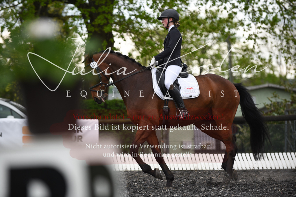 20230513_JK-Röhrsdorf-15-356 | Pferde- und Turnierfotografie in Westsachsen. Pferdeportraits, Auftragszeichnungen und intuitive Kunst.