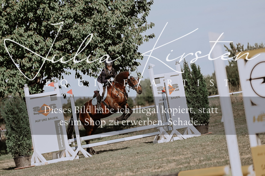 DSC_9395 | Pferde- und Turnierfotografie in Westsachsen. Pferdeportraits, Auftragszeichnungen und intuitive Kunst.