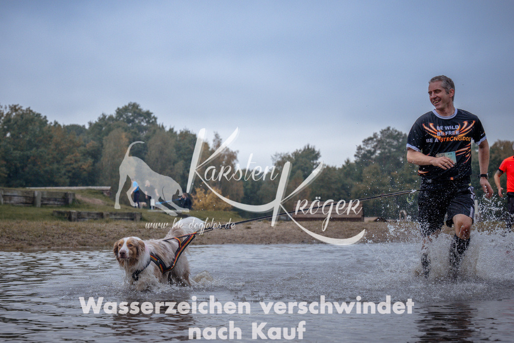 1155_ZZ97450 | kk-dogfotos