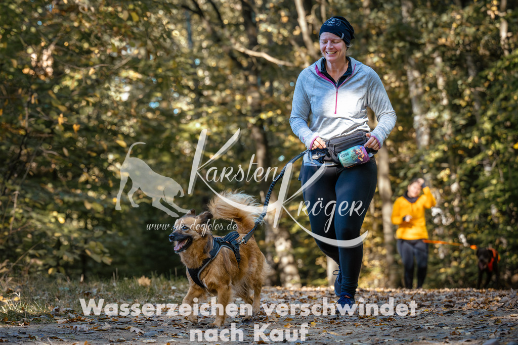 1137_ZZ92920 | kk-dogfotos