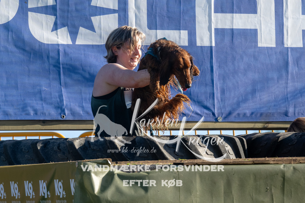 0832_ZZ94145 | kk-dogfotos