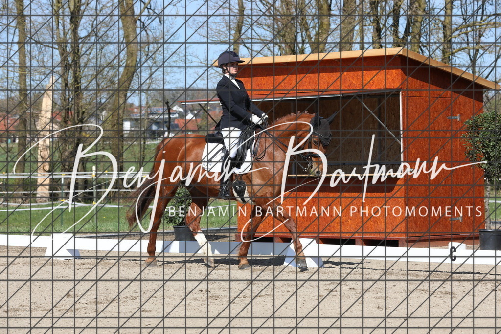 AZ2A6087 | Benjamin Bartmann Photomoments