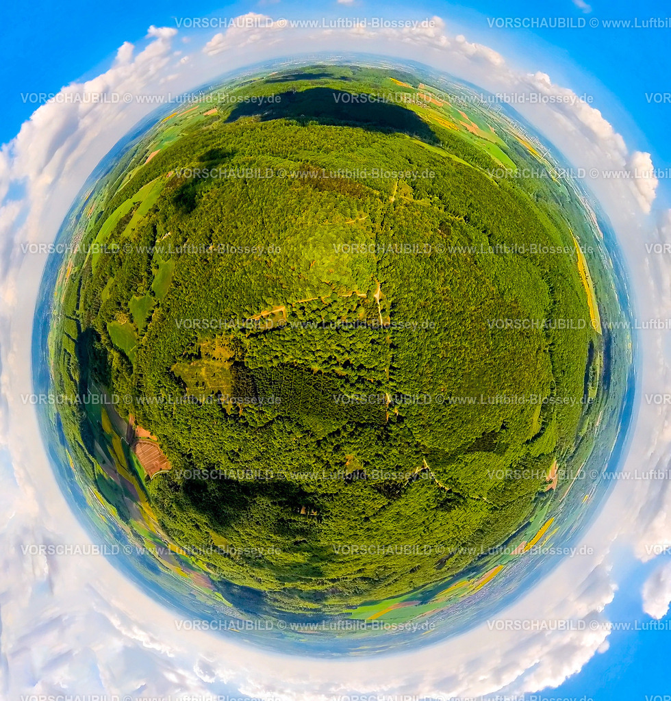 Nieheim240590463HinnenburgerForst | Luftbild Blossey Luftbilder NRW Deutschland