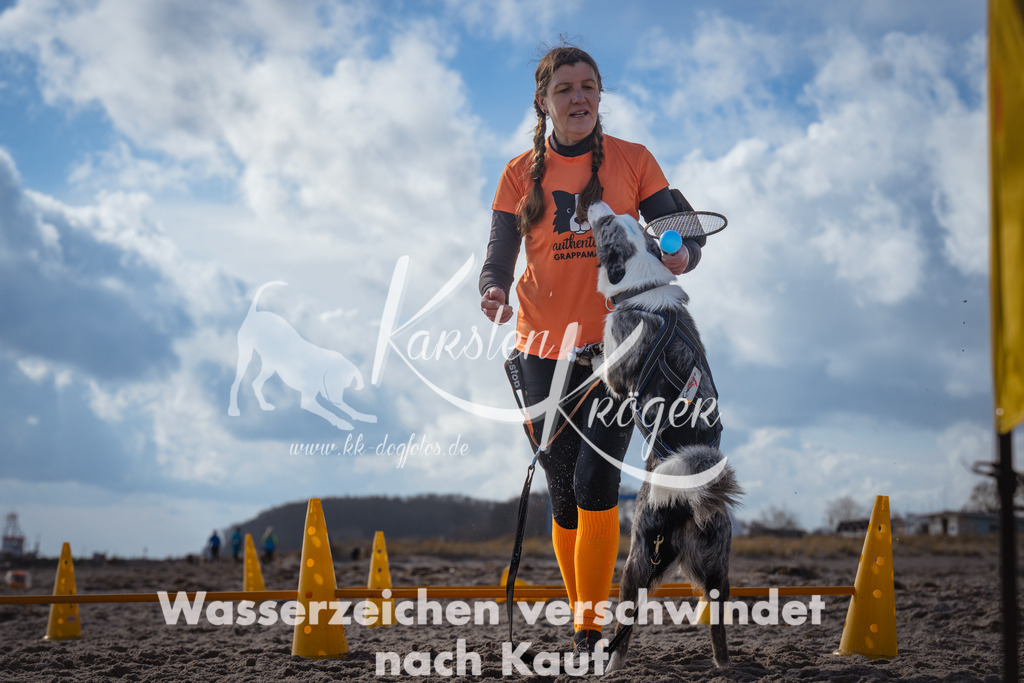 1255_ZZ99537 | kk-dogfotos