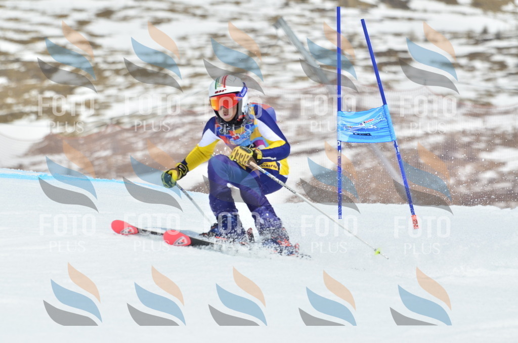 _ELE2555 | holidayphoto