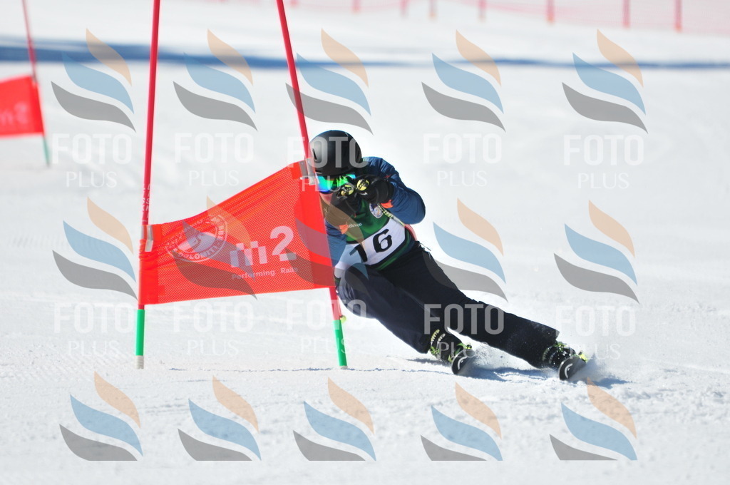 C3406 | holidayphoto