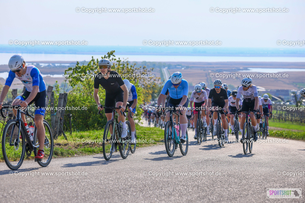 TRA_55190 (29) | Neusiedlersee Radmarathon 2026@sportshot_your_pictrs #yourpictures#roadtowm2029 #nrm #neusiedlerseeradmarathon #neusiedlersee #neusiedlerseetourismus #burgenland #mörbisch #nrm26 #burgenlandtourismus #voglundco #poweredbyburgenlandtourismus #radsport #rad #marathon #ucigranfondo #visitburgenland #ucigranfondoworldseries