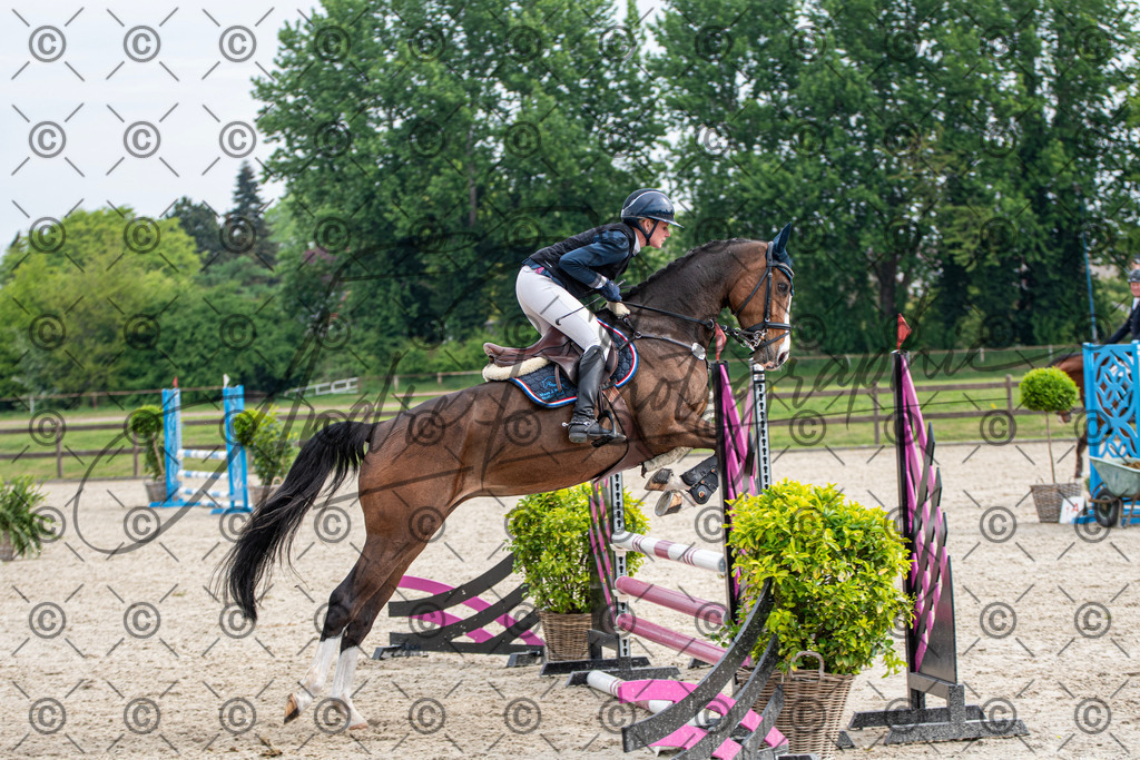 KPT_2160 | andre_photographic