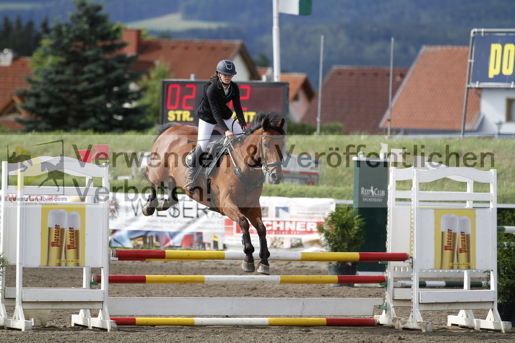 _MG_2245 | equestrian-live-com