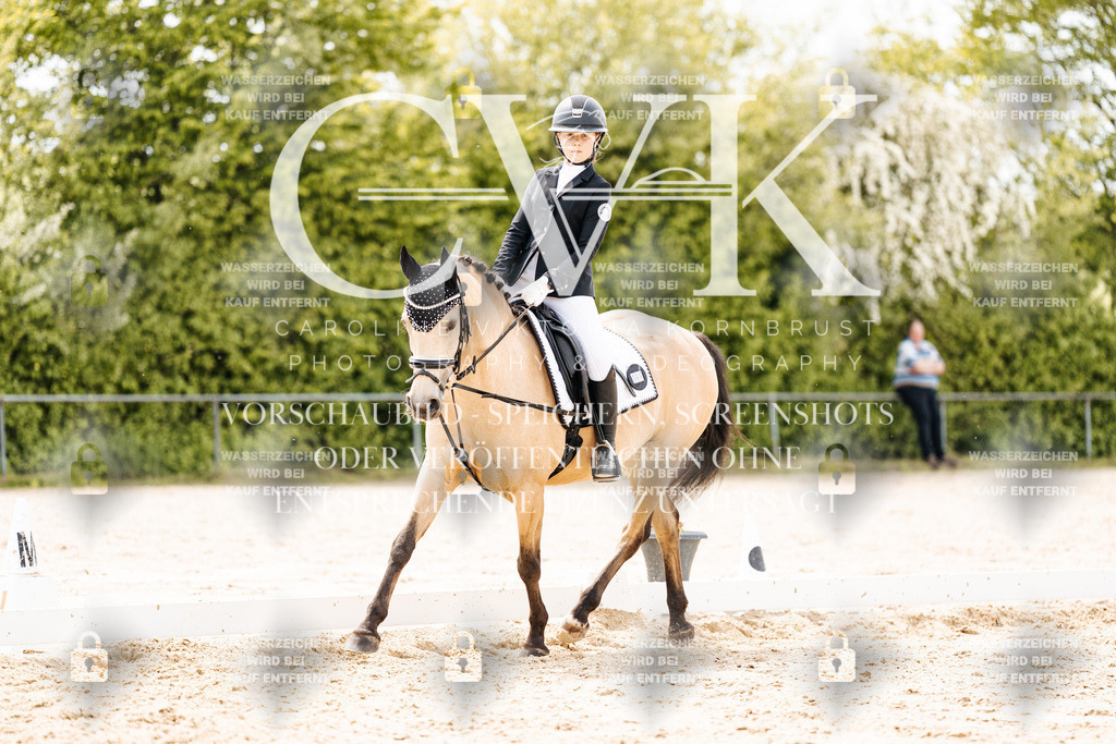 CK902500 | Turnierfotografie Pferdefotografie Trier Rheinland-Pfalz Pferdesport Reitsport Tierfotografie Sportfotografie Pferdevideo Pferdevideografie Equestrianvideography equestrianphotography  - Realisiert mit Pictrs.com