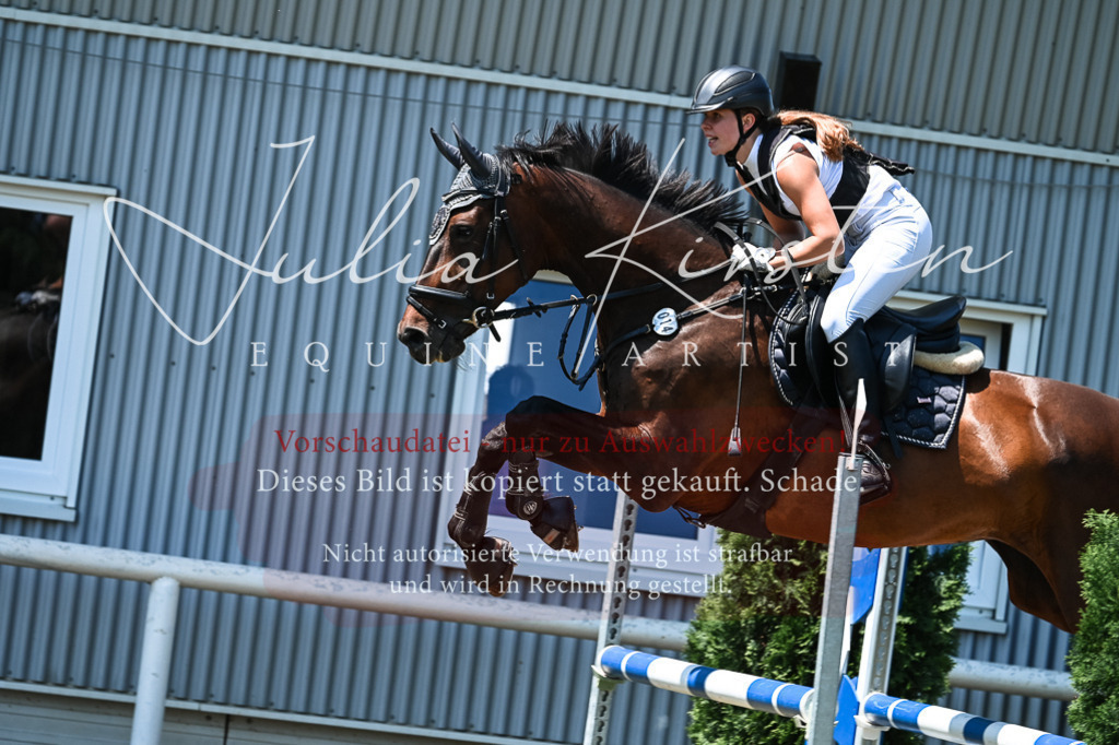 DSC_0238 | Pferde- und Turnierfotografie in Westsachsen. Pferdeportraits, Auftragszeichnungen und intuitive Kunst.