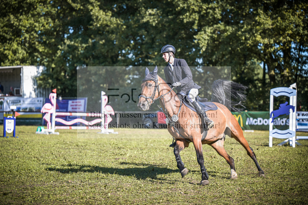 DOS_1186 | Entdecke hochwertige Reitturnierfotos von Foto Oger. Professionell, emotional und authentisch – jetzt Lieblingsmomente im Shop bestellen.Deutschlandweite Turnierfotografie. - Realisiert mit Pictrs.com