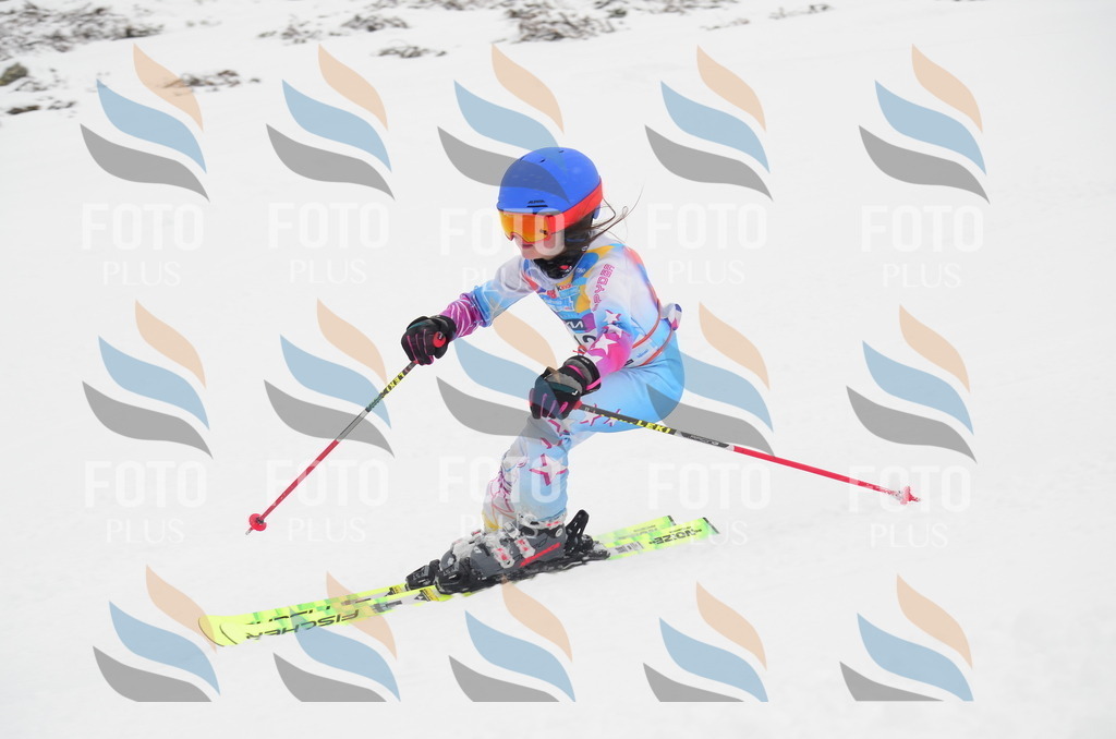 C0618 | holidayphoto