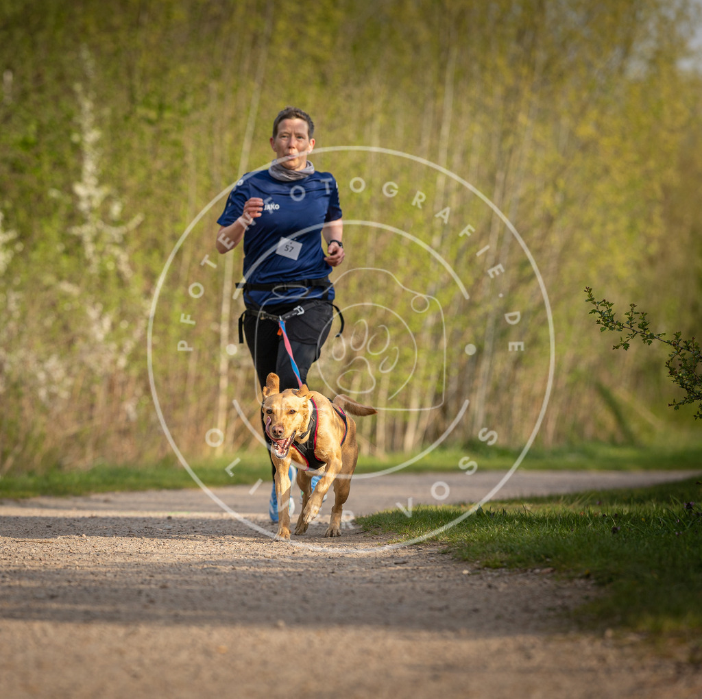 Pfotenfotografie_DV3A4666 | Hundefotografie, Tierfotograf, Pfotenfotografie, Fotoshooting Hund, Hunde Portrait, Hundesport, Hundeportraits, Heideshooting, Hunde, Sportfotograf, Hundefotograf, Turnierhundsport, THS,  - Realisiert mit Pictrs.com