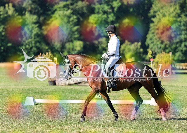 20260628_14a_VA_Dressur-27 | JS-Photostyle - Sport-/Portrait- & Eventfotografie