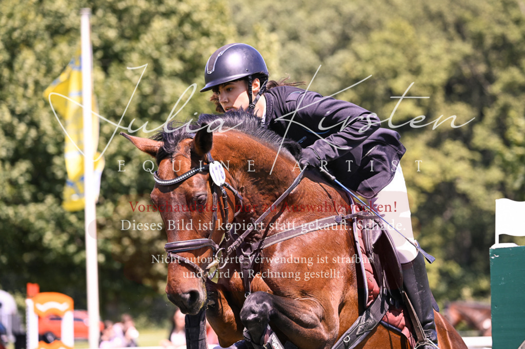 DSC_0100 | Pferde- und Turnierfotografie in Westsachsen. Pferdeportraits, Auftragszeichnungen und intuitive Kunst.