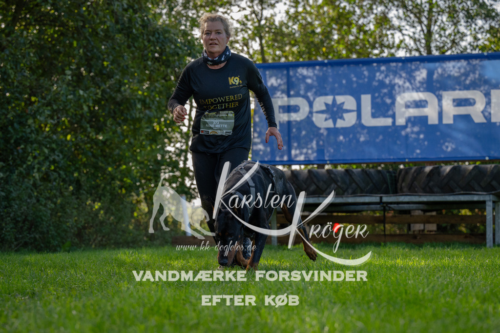 1123-92071 | kk-dogfotos