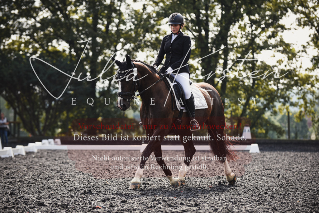 DSC_3639 | Pferde- und Turnierfotografie in Westsachsen. Pferdeportraits, Auftragszeichnungen und intuitive Kunst.