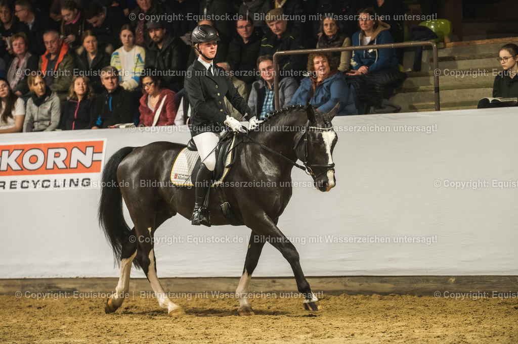 20240302_Hengstvorstellung_Marbach_TOMsPiC_0720-2 | equistock