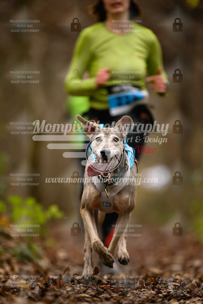 MompixPhotography_Eschau2024_CCC-78 | PayLife