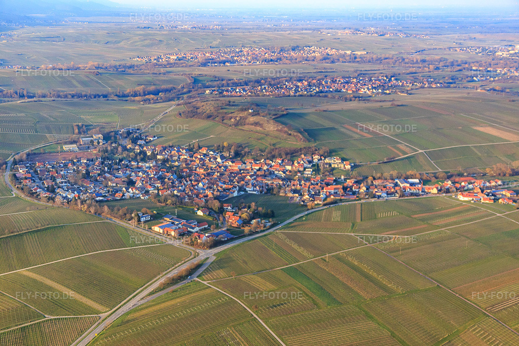 Luftbild: Winzerort unter der kleinen Kalmit von Südwesten in Ilbesheim bei Landau im Bundesland Rheinland-Pfalz in Deutschland. Foto: IMG_086831.jpg vom 26.03.2016 durch Werner Riehm/FLY-FOTO.de