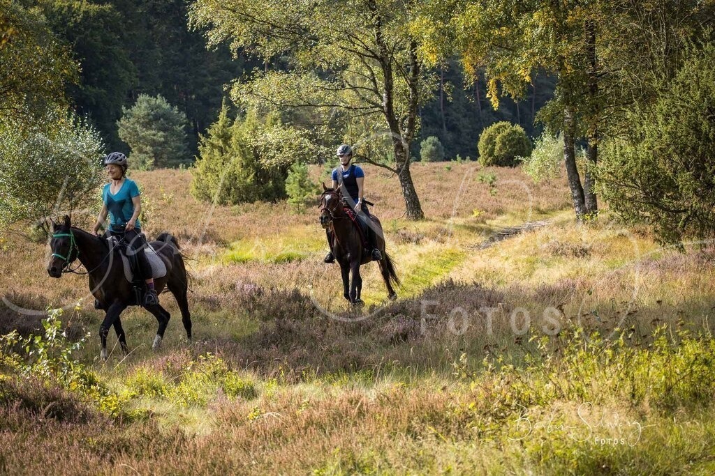 DdLH-WehlenerHeide_2025-09-20_81 | Fotografie, Veranstaltungs-Fotografie, Pferde-Fotografie, Landschafts-Fotografie, Reise-Fotografie - Realisiert mit Pictrs.com