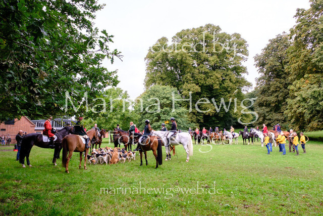 Jagd Perdoel 26 Fuji-9763_MarinaHewig | Fotografie, FotoArt, PferdesportArt, Pferdesportfotografie, Landschaftsfotografie, Reisefotografie, Reise, Pferde - Realisiert mit Pictrs.com