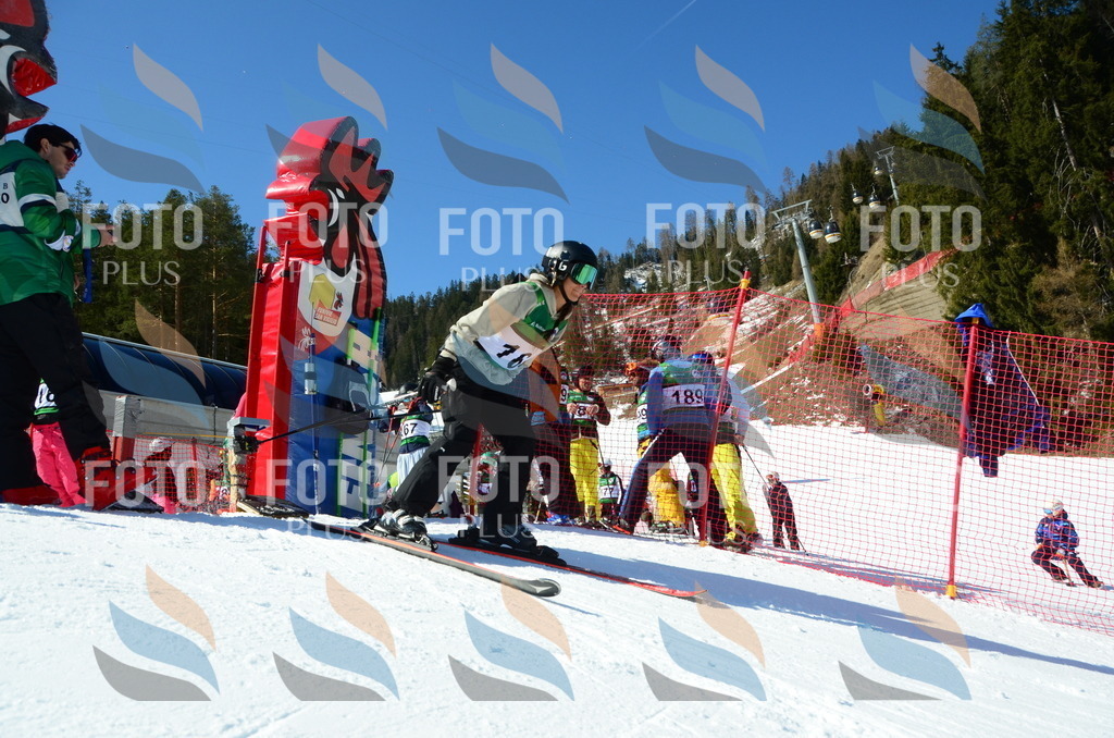 C6233 | holidayphoto