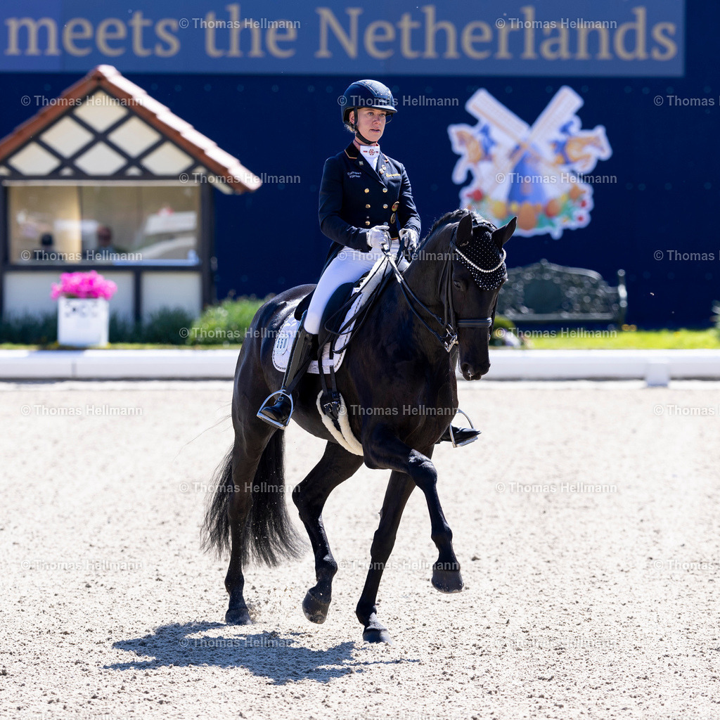 TH_550-For Future W FRH_ Averkorn_ Claire-Louise_28344 | Horses &amp; Dreams 2025 am 27.04.25 in Hagen a.T.W., Thomas Hellmann, 550For Future W FRH, Averkorn, Claire-Louise