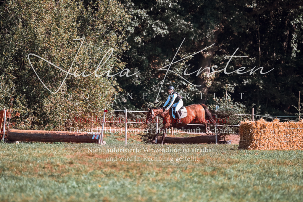 DSC_0682 | Pferde- und Turnierfotografie in Westsachsen. Pferdeportraits, Auftragszeichnungen und intuitive Kunst.
